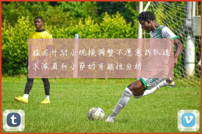 猛龙计划小规模调整不愿意拆队追求浓眉和小萨的可能性分析
